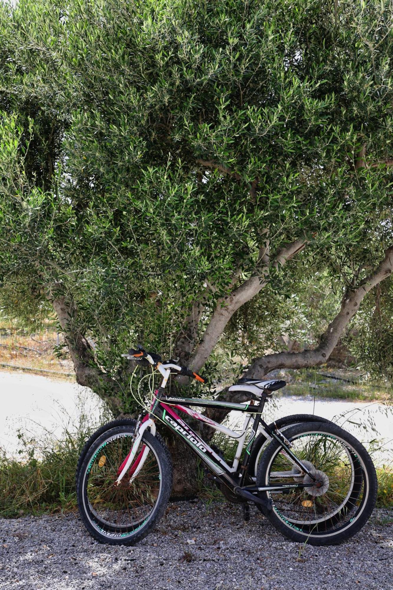 Thea * Sitia (Crete)